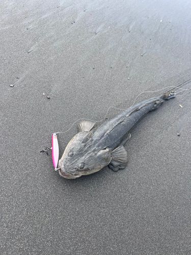 辻堂海浜公園前