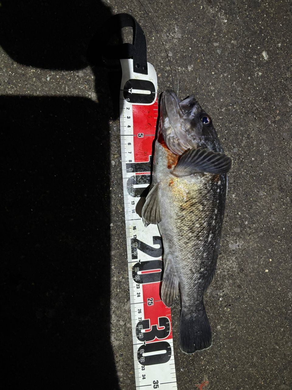 DAIWA　JIGCASTER 90MH ハードロックx90mh ダイワ ハードロック X 90MH・K (ロッド・釣竿) 価格比較 - 価格.com