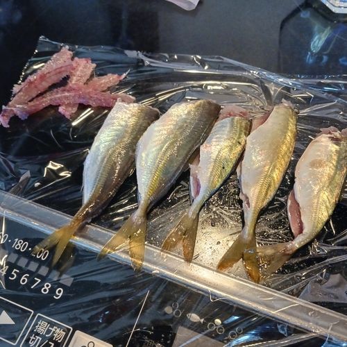 表浜名湖