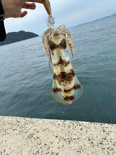 若狭湾