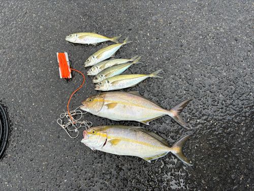 美保湾