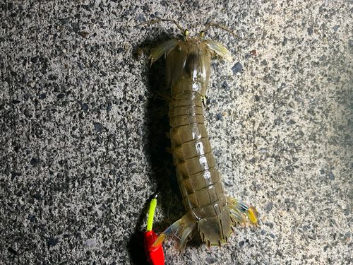 大津漁港