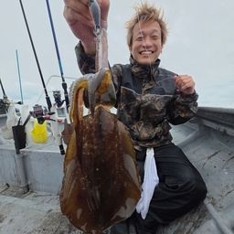 アオリイカ