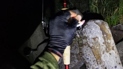 ウロハゼの釣果
