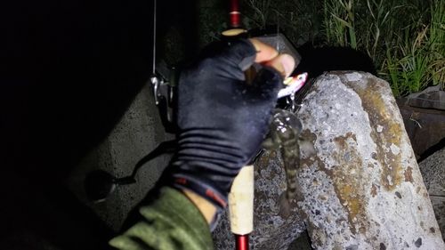 ウロハゼの釣果