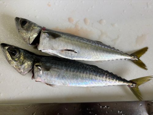 那珂湊港