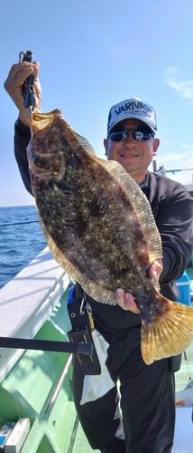 ヒラメの釣果