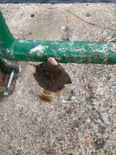 海辺つり公園