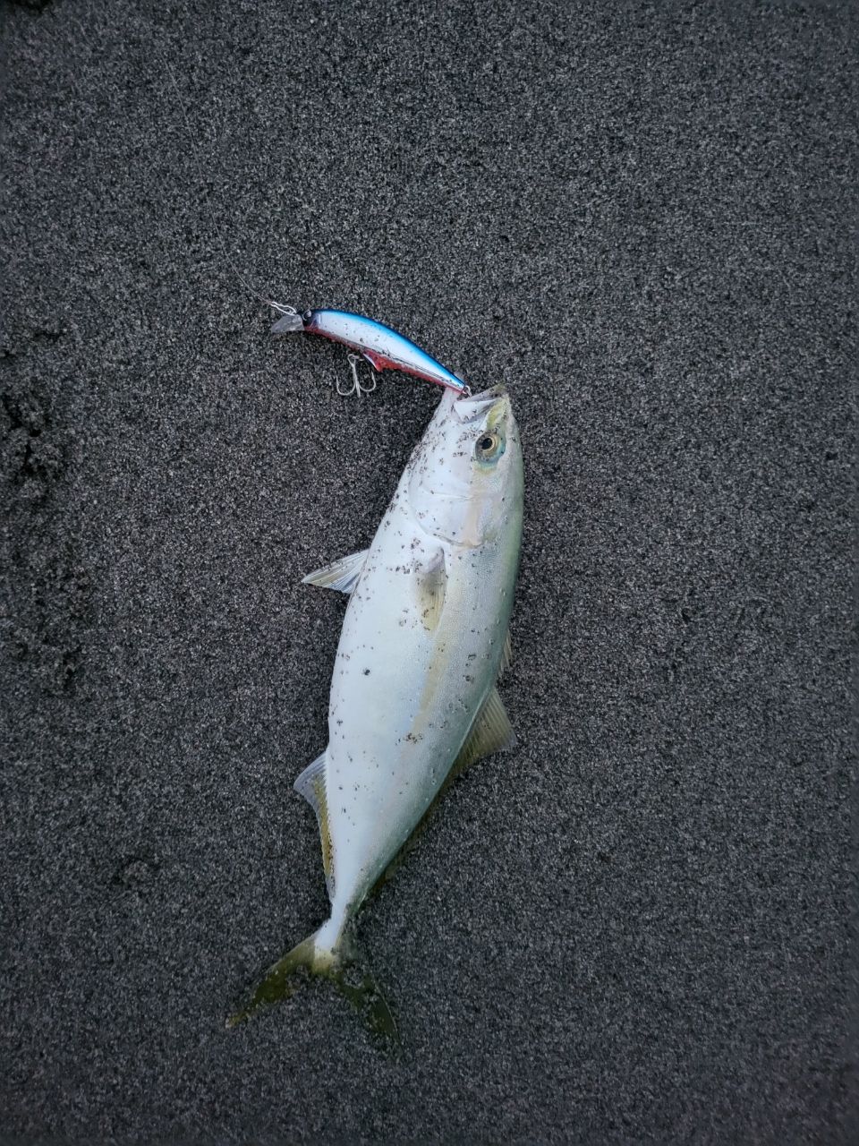 Jackson ジャクソン ルアーロッド サーフトライブ STHS-1082ML ジャクソン(Jackson) サーフトライブ STHS-1082ML(halibut model