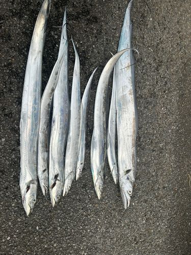 三浦半島