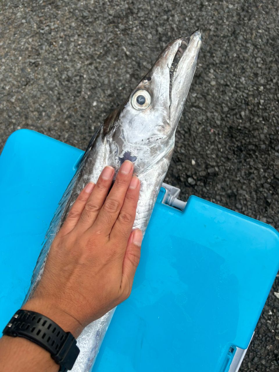 ぶっこみ丸(ルアー釣りメイン)さんの釣果 2枚目の画像