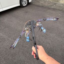 イワシ
