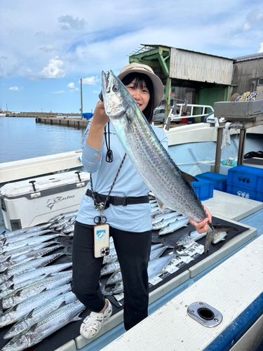 サワラの釣果