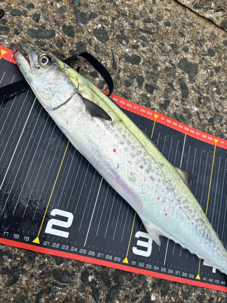 DAIWA 21ラブラックス AGS 93MLの最安値・インプレ・釣果 | 本音