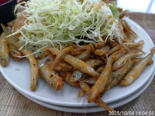 桂川（山中湖〜相模湖）上流