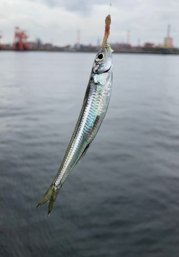 東扇島西公園