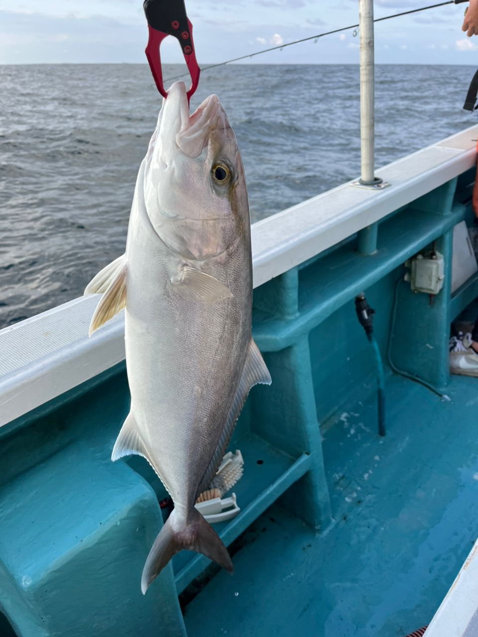 ラグ猫さんの釣果 1枚目の画像