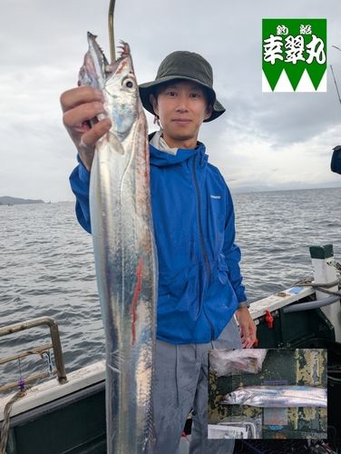 メジロの釣果