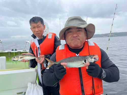 タチウオの釣果