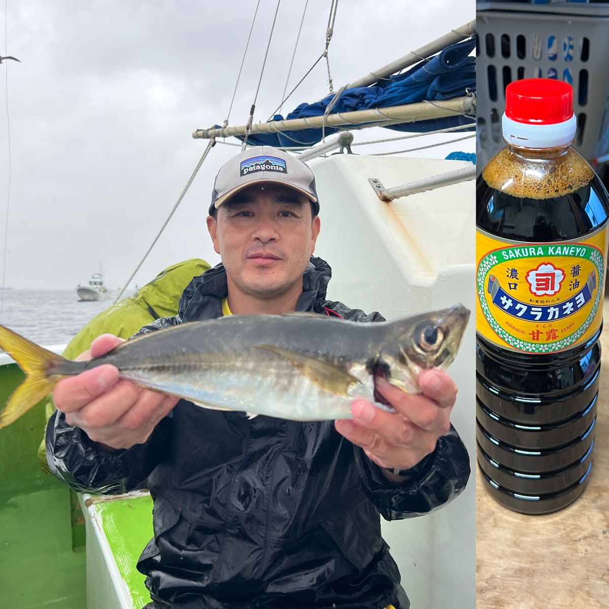 政信丸さんの釣果 3枚目の画像