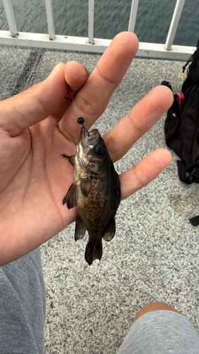 江ノ島