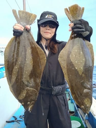 ヒラメの釣果