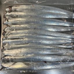 タチウオ