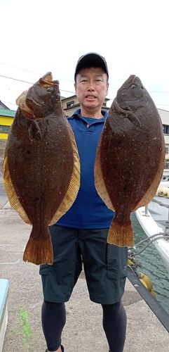 ヒラメの釣果