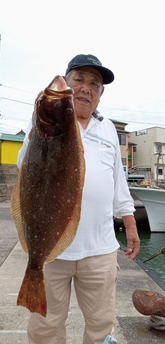 ヒラメの釣果