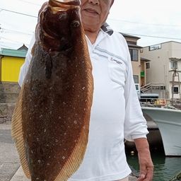 ヒラメ