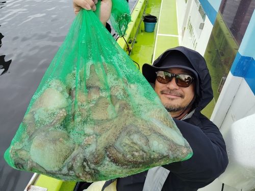 マダコの釣果