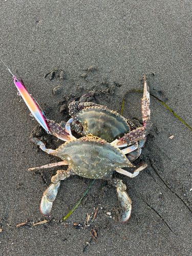 石狩湾新港