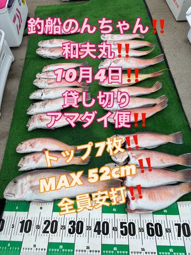 紀伊水道