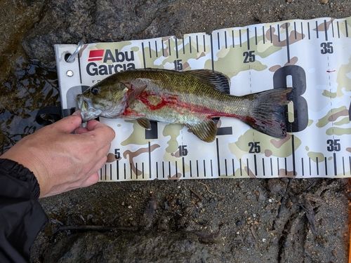 阿武隈川中流