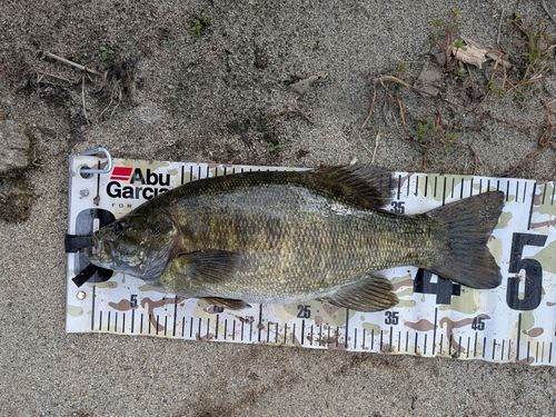 釣果