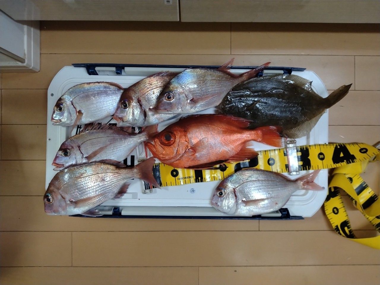 チカメキントキ