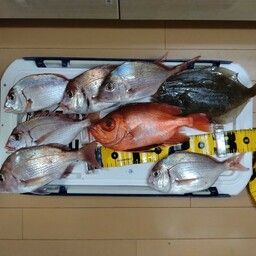 チカメキントキ