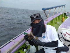 カワハギの釣果