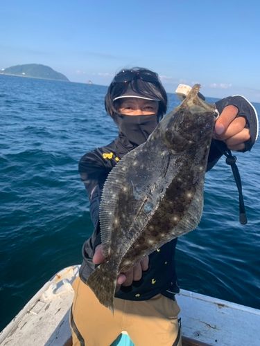 ヒラメの釣果