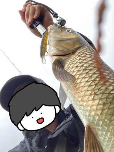 釣果