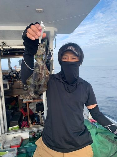 博多湾
