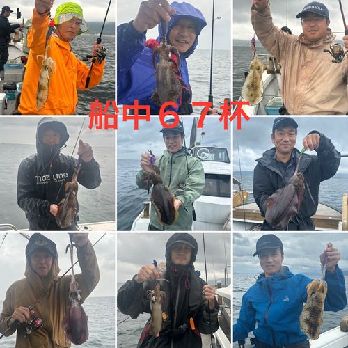 アオリイカの釣果