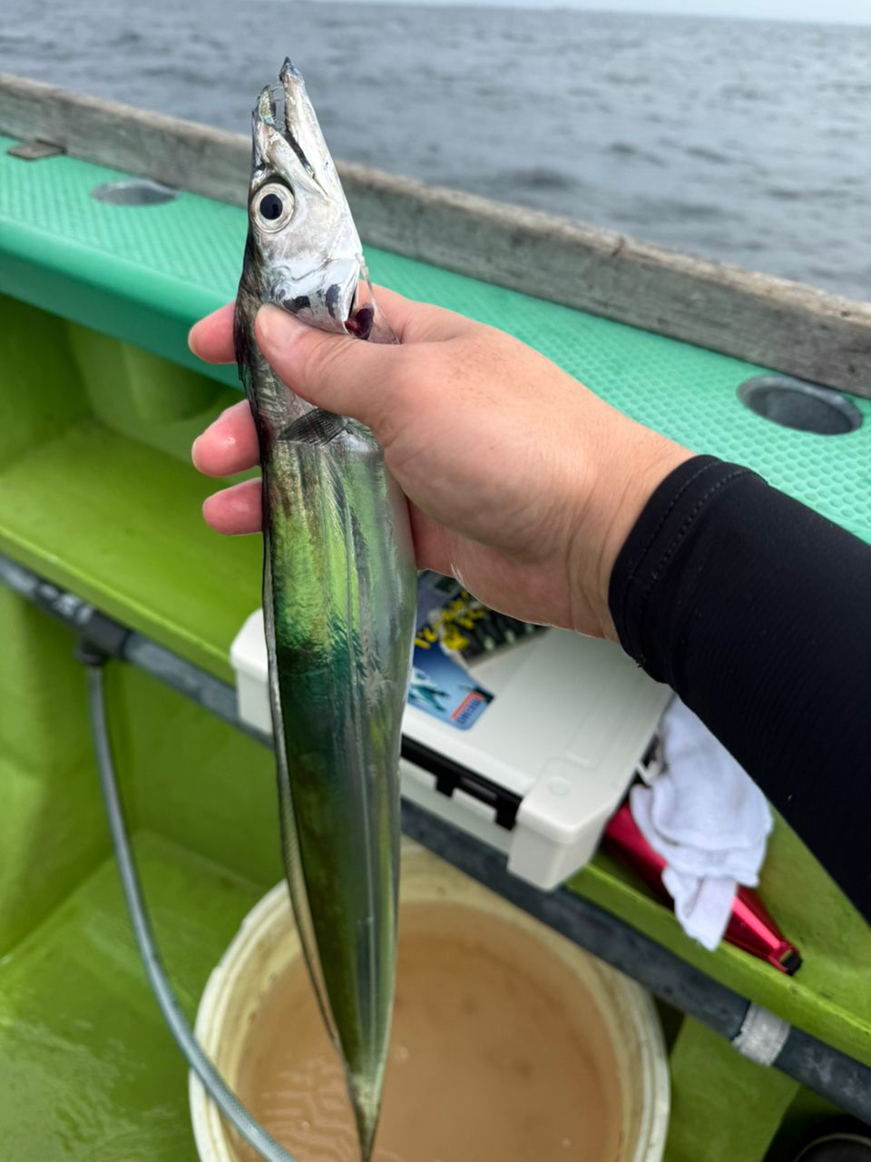 Tanackさんの釣果 1枚目の画像