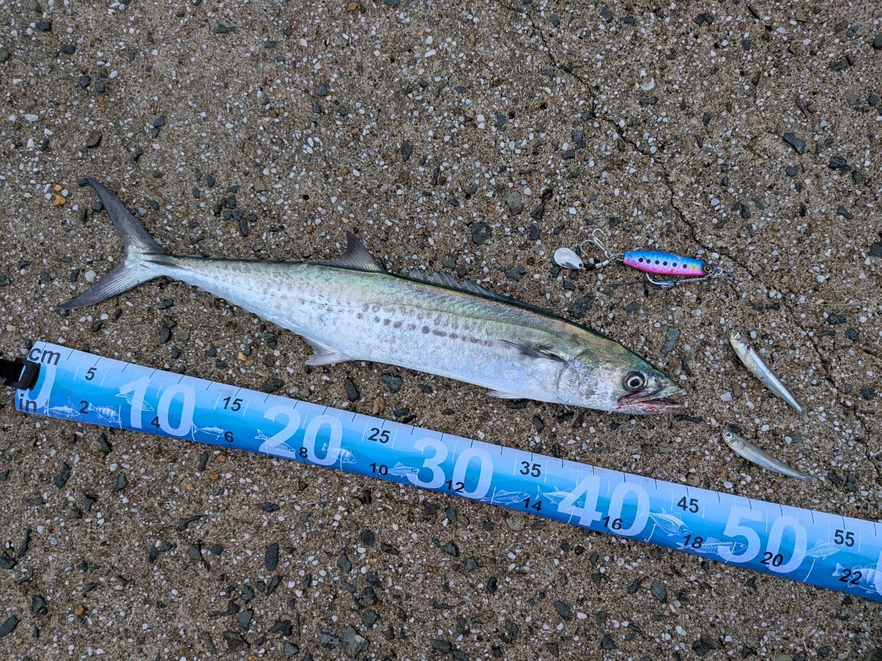 MajorCraft ファーストキャスト ショアジギング FCS-1002MHの最