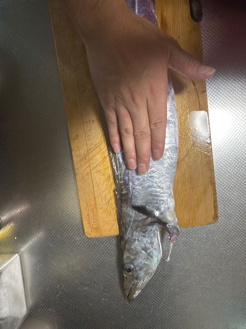 Tanackさんの釣果 2枚目の画像