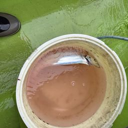 タチウオ