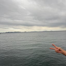 アジ