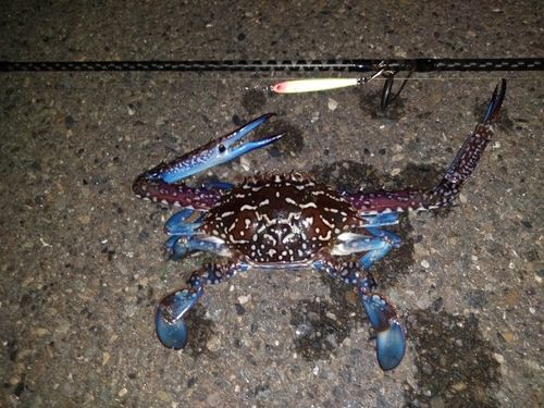 三浦海岸