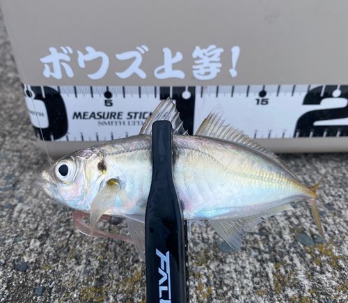 三陸海岸（宮城）