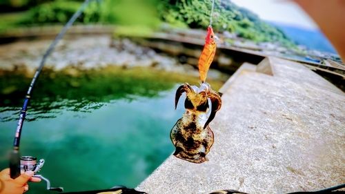 鹿児島湾北部